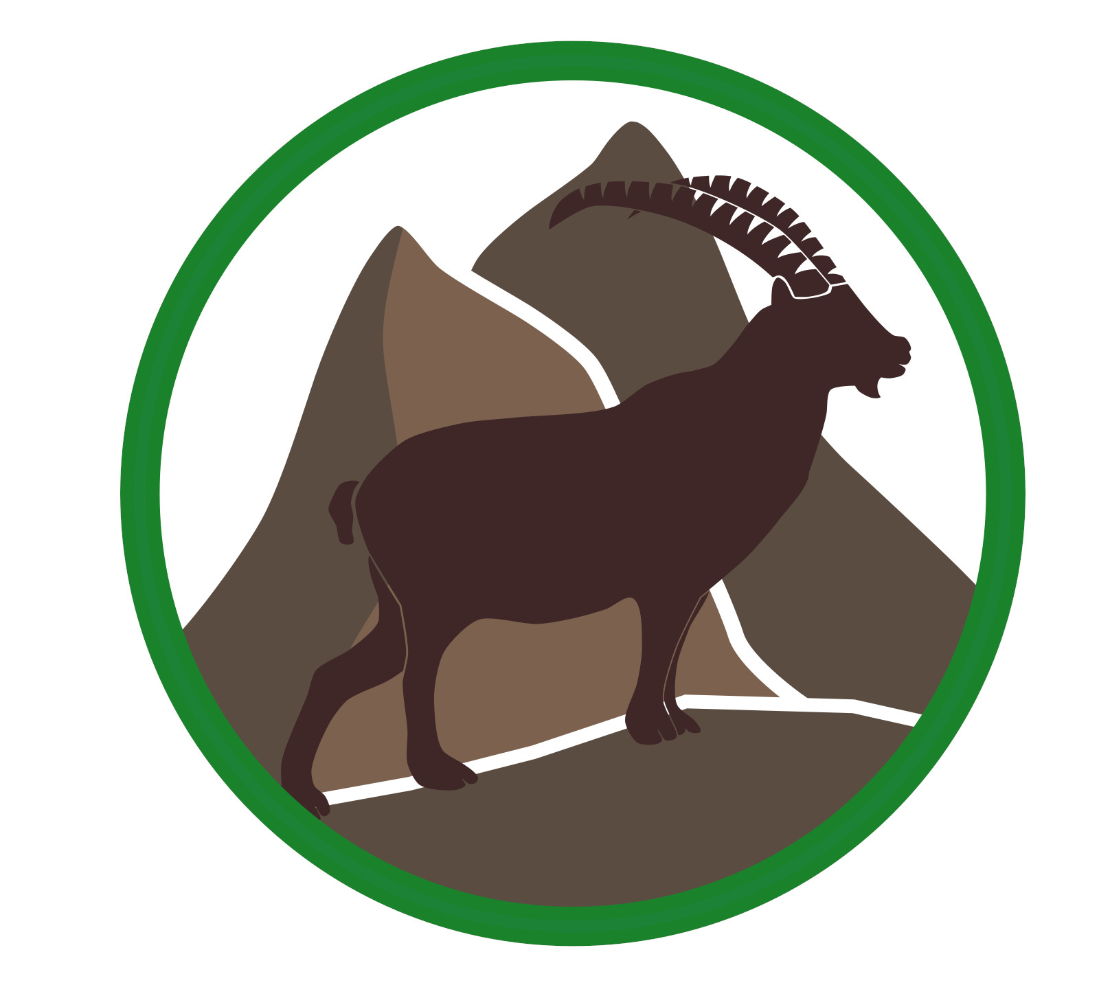 Badge Eclaireur & Brevet Guide Désignation 21- Montagnard