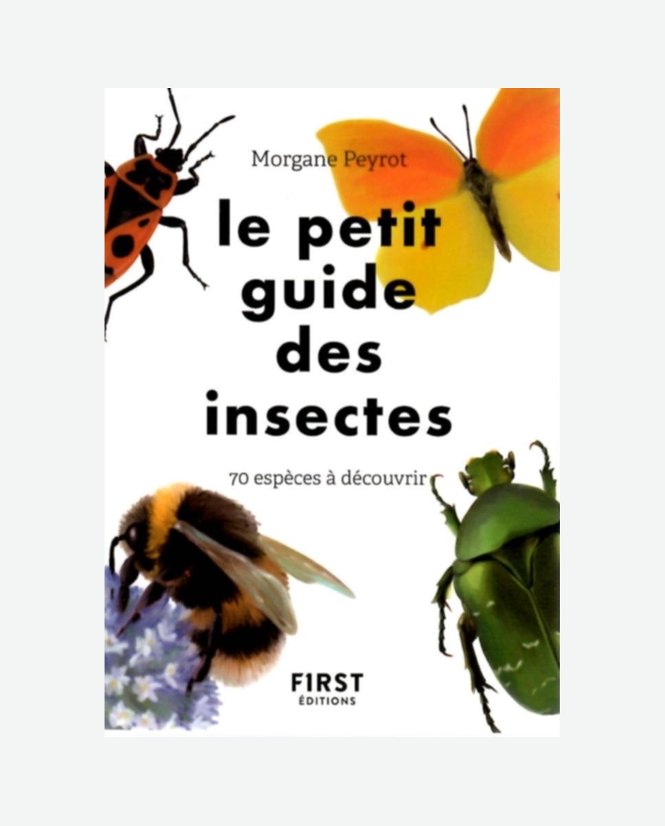 Le petit guide des insectes