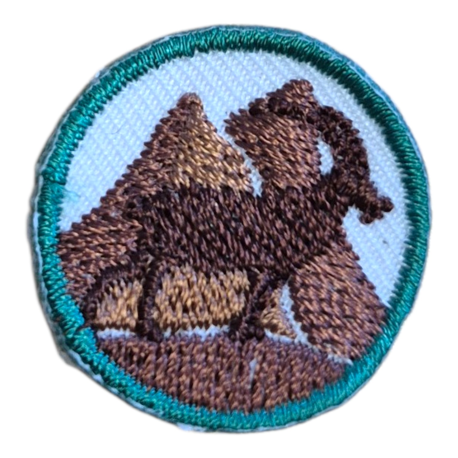 Badge Eclaireur & Brevet Guide Désignation 21- Montagnard